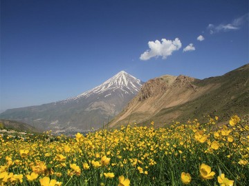 Mountain Discovery